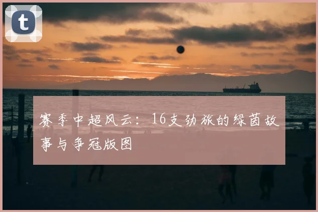 赛季中超风云：16支劲旅的绿茵故事与争冠版图